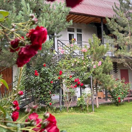 Гостевой дом Подсолнухи Чолпон-Ата Экстерьер фото