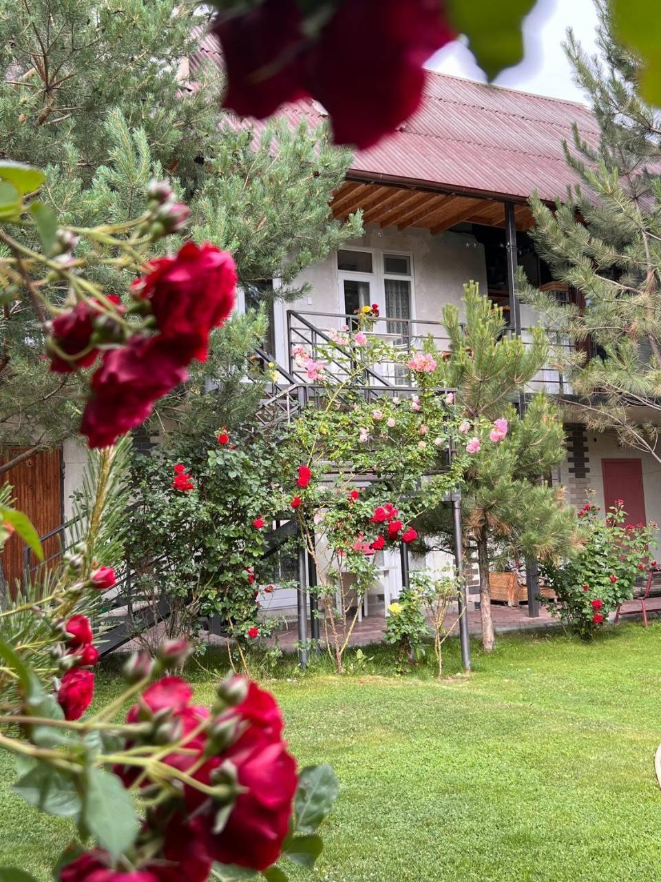 Гостевой дом Подсолнухи Чолпон-Ата Экстерьер фото